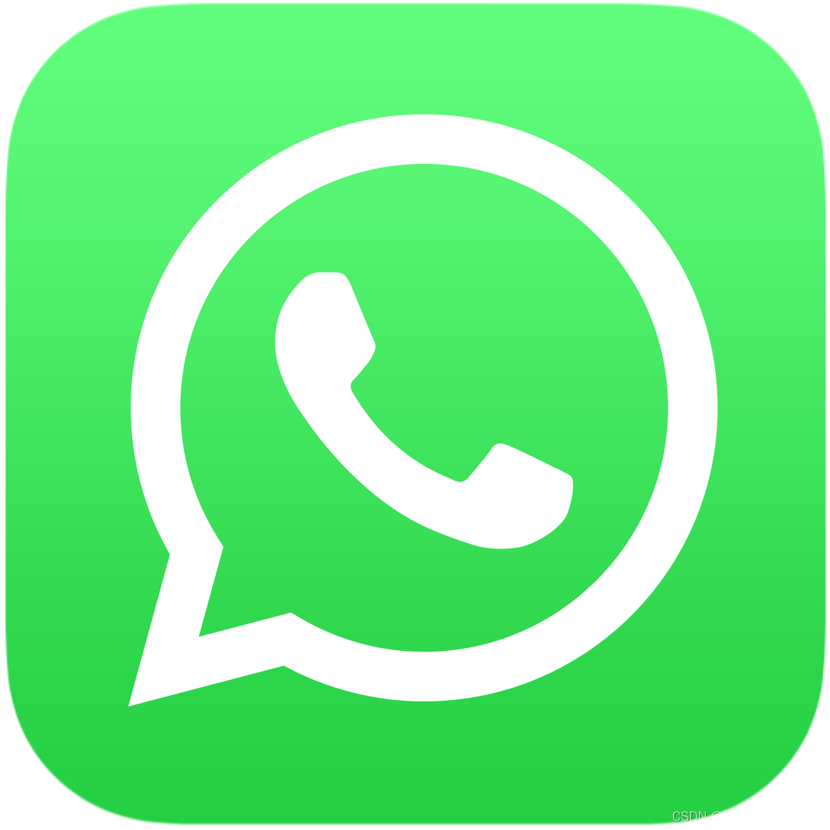 whatsapp下载安卓